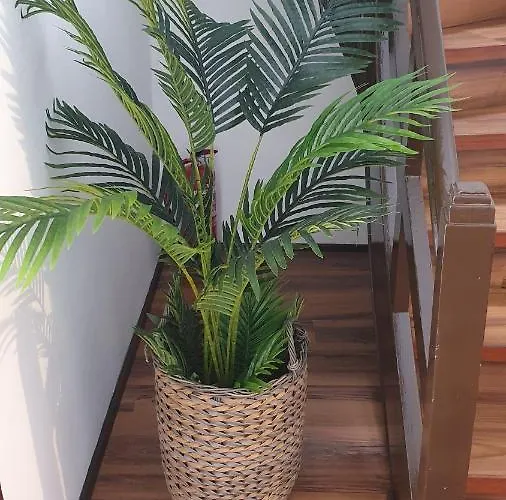 Casa Da Avó Julia *